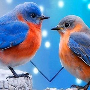 Meet your Posher, Cynthia